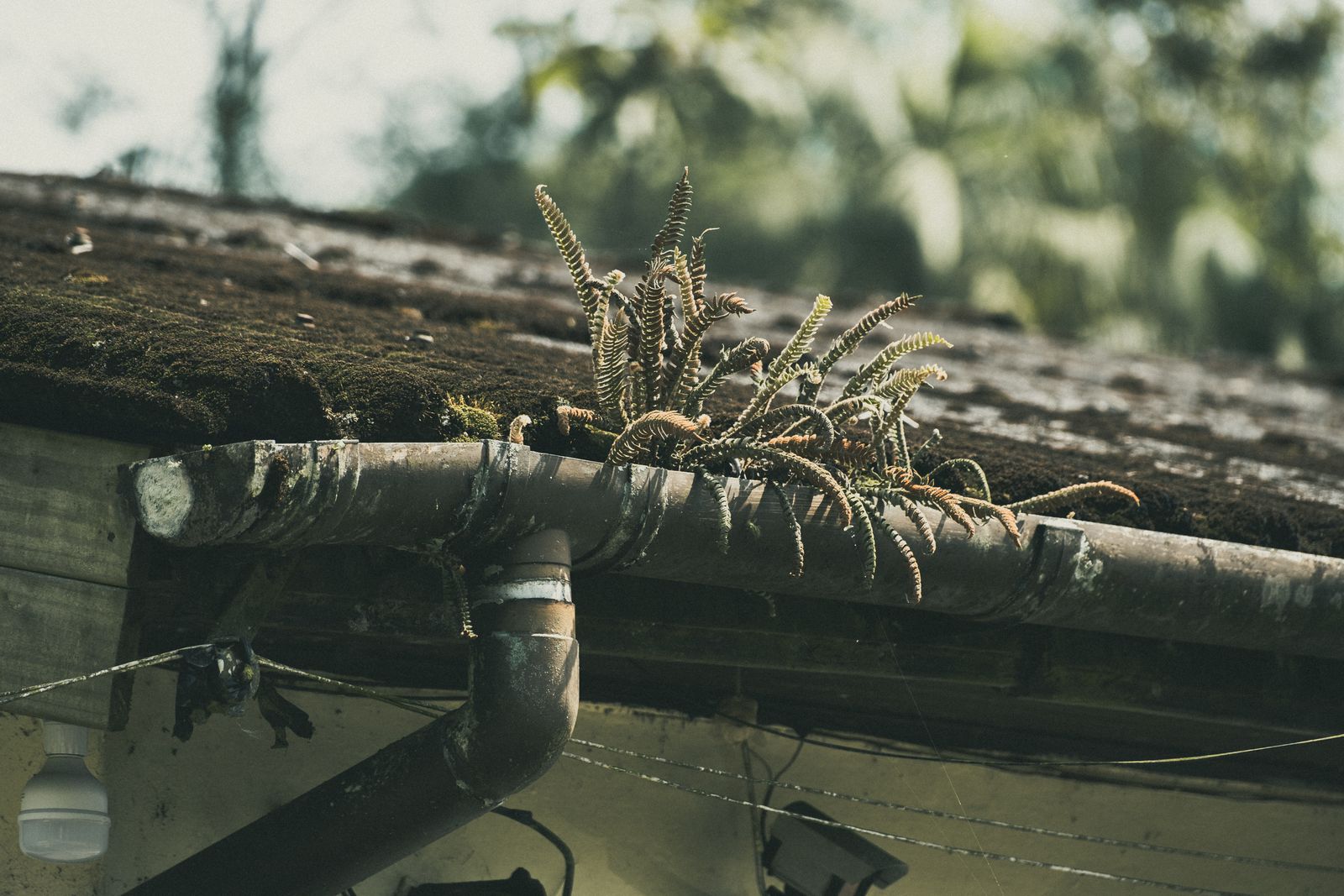 Gutter Cleaning by HighRise Glass Services
